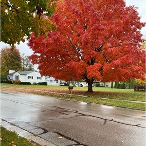 Meet your Posher, Chrissy